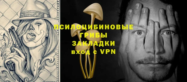 соль ск Алзамай