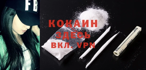 соль ск Алзамай