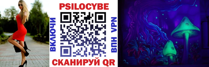 купить   Раменское  Псилоцибиновые грибы Cubensis 
