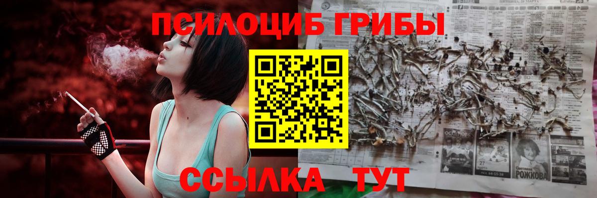 Раменское  Галлюциногенные грибы мицелий  Вход с VPN 
