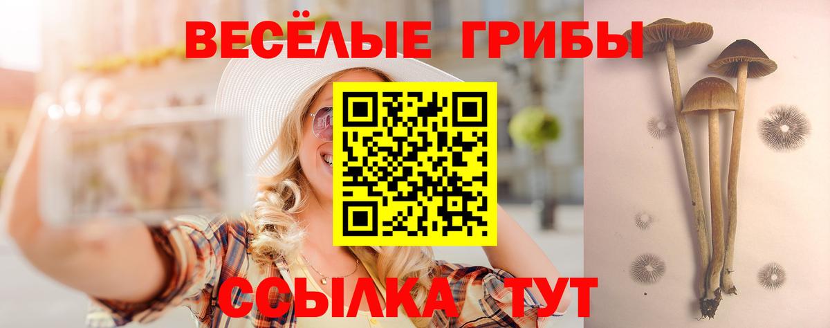 Псилоцибиновые грибы мицелий Раменское